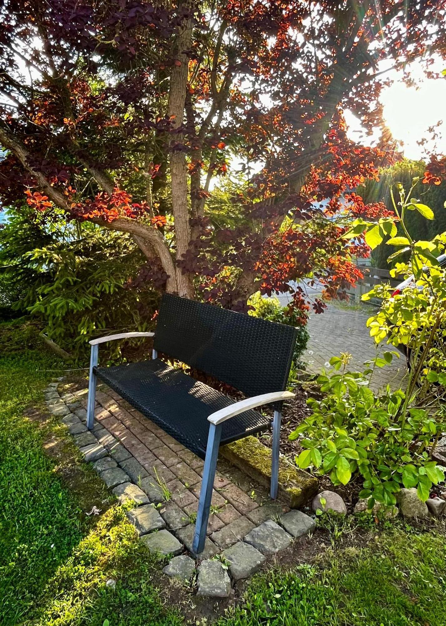 Ferienhaus Windmuehlenweg Mit Grossem Sonnigen Garten -Neu- Spenge Buitenkant foto